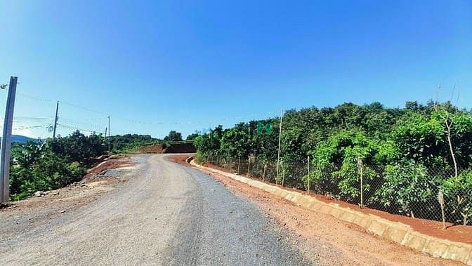 Hình ảnh Bán Vườn Trái Cây Đủ Loại Tại Di Linh