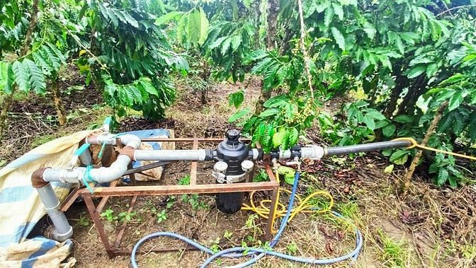 Hình ảnh Bán Vườn Trái Cây Đủ Loại Tại Di Linh