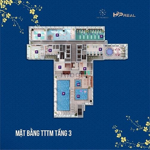 Hình ảnh TNR The Nosta đường Láng - Trang Chủ MB66.COM / Đăng Ký Tặng 66K cao cấp đạt tiêu chuẩn 6 sao.