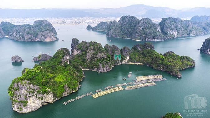 Hình ảnh Đất nền ven biển hạ long - cẩm phả đã có sổ đỏ