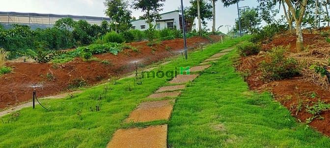 Hình ảnh Bán Khu Nghỉ Dưỡng Trung Tâm TP Bảo Lộc