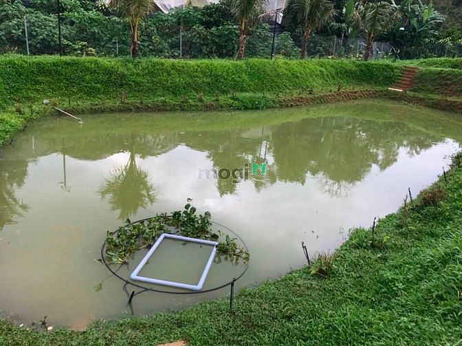 Hình ảnh Bán Khu Nghỉ Dưỡng Trung Tâm TP Bảo Lộc