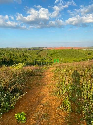 Hình ảnh Bán Lô Đất Gần Hồ, Tại Bảo Lâm, Lâm Đồng