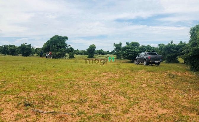 Hình ảnh Cần bán đất vườn sổ đỏ Bình Thuận gần khu du lịch Safari