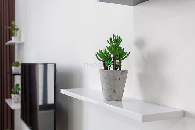 Hình ảnh Chung cư Tresor  2PN 60m2 view đẹp cho thuê 15 triệu/th full nội thất