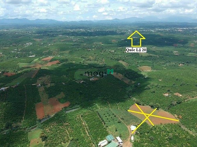 Hình ảnh Bán Lô Đất Tại Lộc An Giá Siêu Rẻ