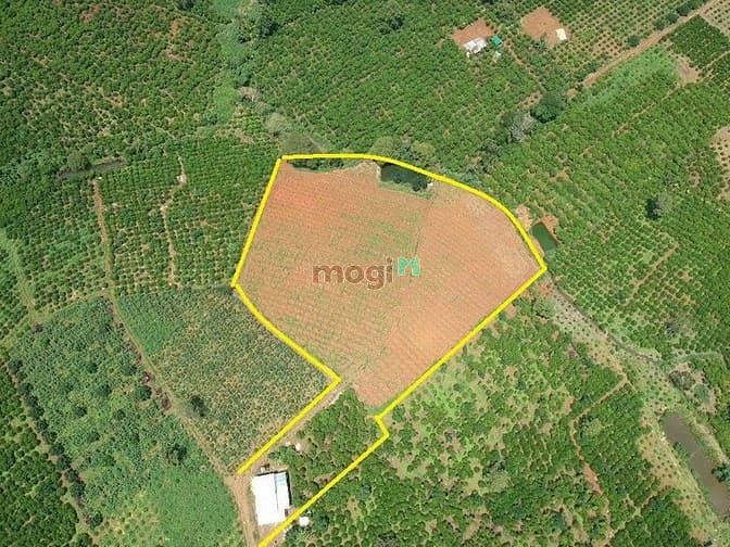 Hình ảnh Bán Lô Đất Tại Lộc An Giá Siêu Rẻ