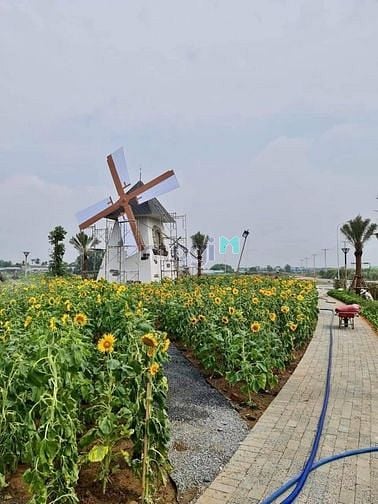 Hình ảnh ĐẤT Thanh Lí giá 800tr , sổ hồng liền tay .