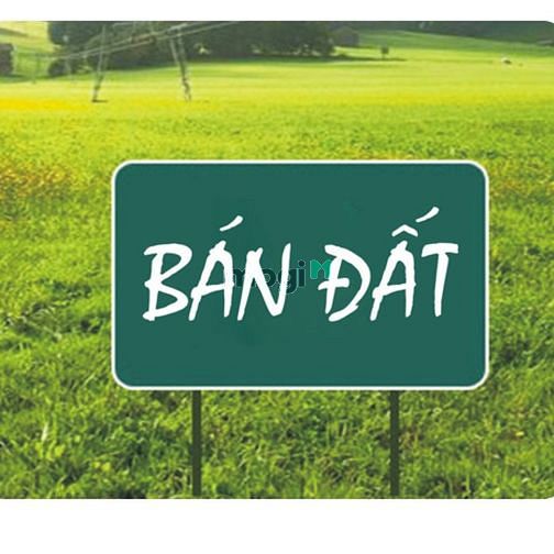 Hình ảnh Gia đình cần bán đất vườn và đất thổ cư