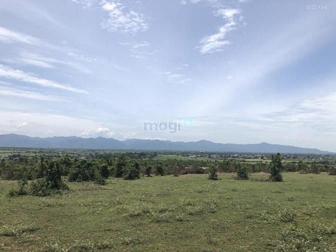 Hình ảnh Bán 9867m2 đất vườn bắc bình, bình thuận vuông sổ đã gia hạn 789 triệu