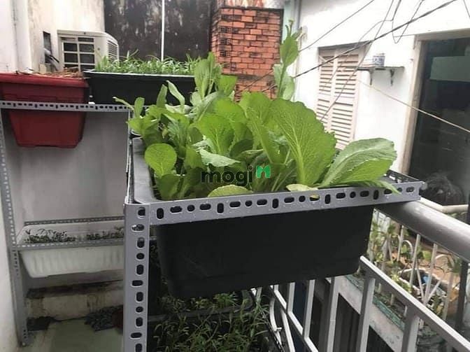 Hình ảnh Bán nhà ngay trung tâm quận Tân Phú