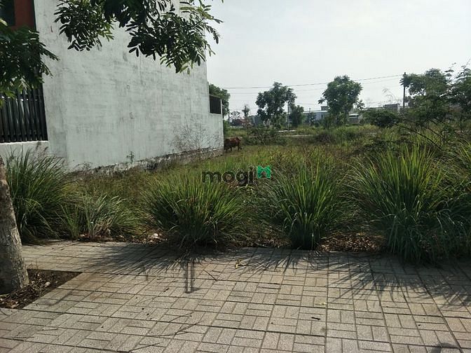 Hình ảnh Bán đất mặt tiền đường Hoàng Phan Thái Bình Chánh 125m2 giá 1,8 tỷ SHR