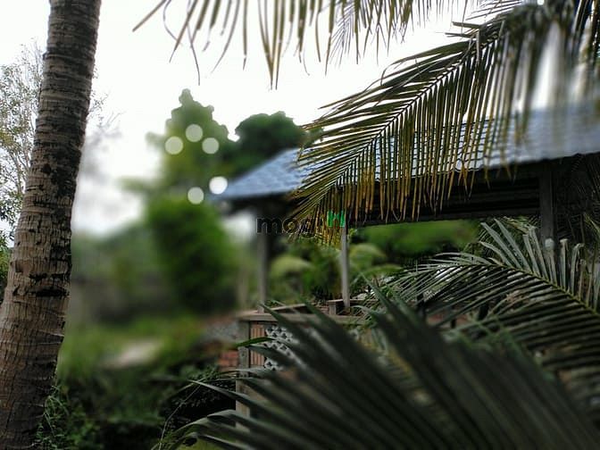 Hình ảnh Bán đất mặt tiền đường Trương Vĩnh Nguyên, P- Phú Thứ, Q Cái Răng, TP