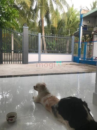 Hình ảnh Nhà trung tâm TP. Bến Tre, phường 7