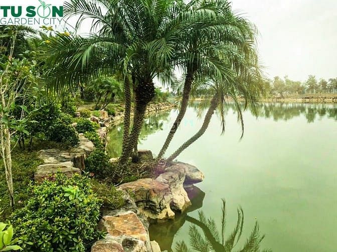 Hình ảnh Siêu Phẩm Dự Án Mb6623 phiên bản mới nhất Đất Nền 2021