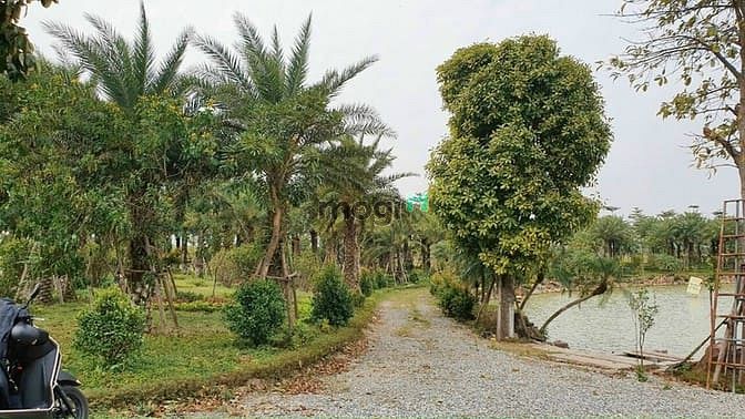 Hình ảnh Siêu Phẩm Dự Án Mb6623 phiên bản mới nhất Đất Nền 2021