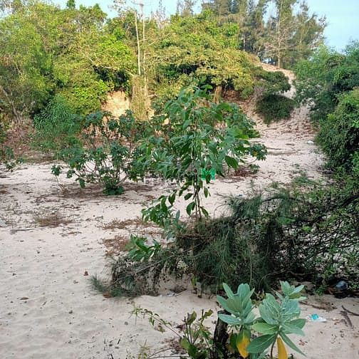 Hình ảnh Đất view biển 2 mặt tiền bình thuận. Tân thắng