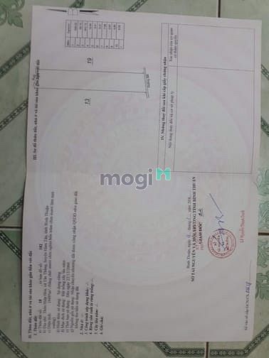 Hình ảnh 2 mẫu đất tân thắng bình thuân. Giá 1 tỷ 700 tr