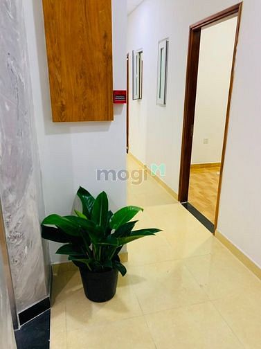 Hình ảnh CHDV 35 (m2) CÓ GÁC, THÁNG MÁY, Full Nội Thất MỚI 100%, Bảo Vệ 24/7