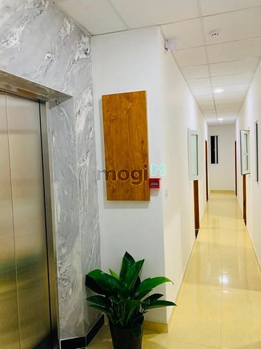 Hình ảnh CHDV 35 (m2) CÓ GÁC, THÁNG MÁY, Full Nội Thất MỚI 100%, Bảo Vệ 24/7