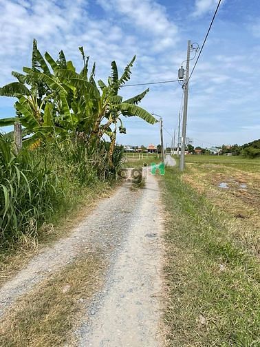 Hình ảnh Đất vị trí đẹp , Khu đô Thị Mới Vingroup , Thị Trấn Hậu Nghĩa