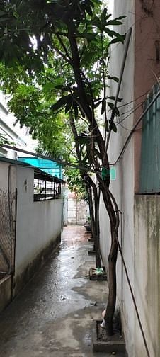 Hình ảnh Phòng trọ Quận Bắc Từ Liêm 25m²