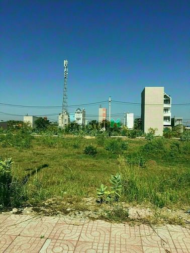 Hình ảnh Cần bán gấp giới thiệu cũng có hoa hồng