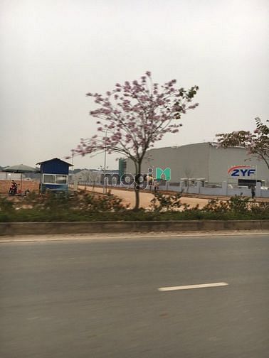 Hình ảnh Bán đất đường 261 đoạn Hồng Tiến