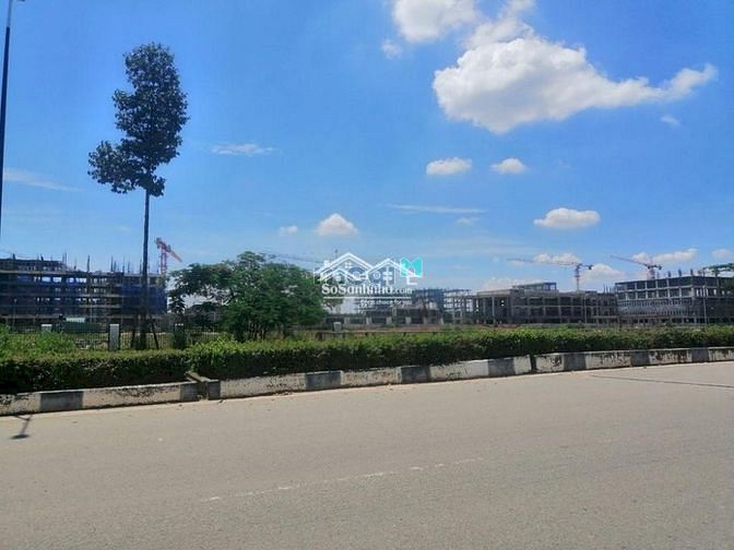 Hình ảnh Tôi cần bán gấp 300m2 đất khu MP3 Bình Dương, thổ cư 100% sổ hồng
