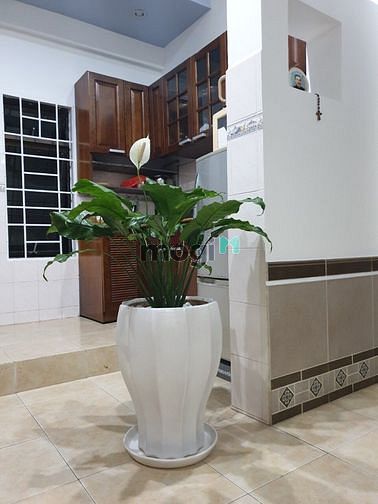 Hình ảnh Cho thuê Trang Chủ MB66.COM / Đăng Ký Tặng 66K Tôn THất Thuyết Quận 4, 70m2 2pn1wc Full đồ. Giá 8tr