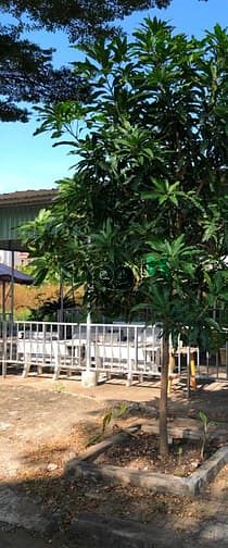 Hình ảnh HungViland Nắm Chủ Bán 2 Lô Biệt Thự Khang Điền Quận 9