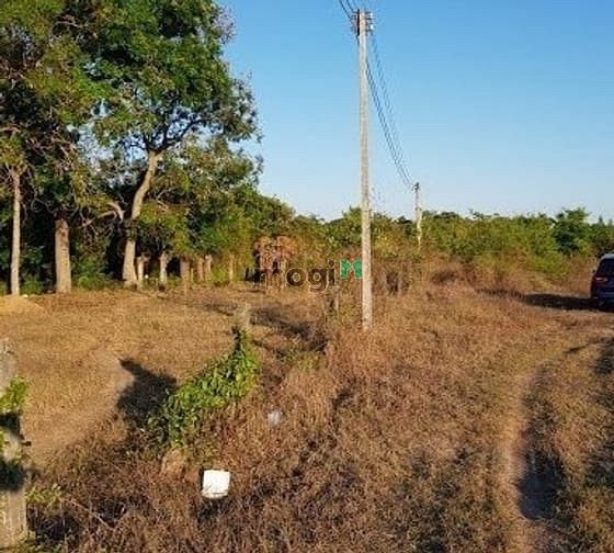 Hình ảnh Bán gấp đất vườn cạnh thị trấn, sẵn sổ.710tr