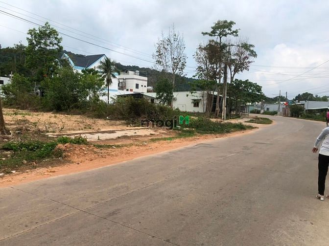 Hình ảnh bán đất mặt tiền cây thông ngoài thuận tiện .Dân cư đông đúc