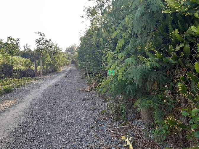 Hình ảnh Chỉ còn duy nhất 1 sổ (1000m2) đất vườn tại TP Long Khánh giá 950tr
