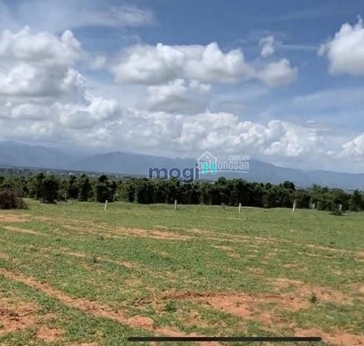 Hình ảnh Đất Huyện Bắc Bình 10000m² chỉ 650tr