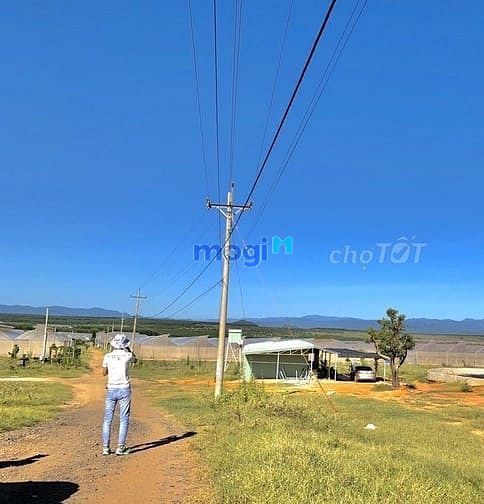 Hình ảnh Đất Huyện Bắc Bình 10000m² chỉ 650tr