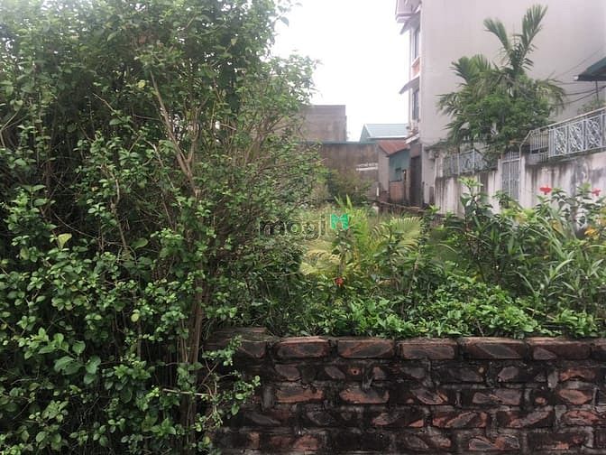 Hình ảnh Bán đất DT 60m ngõ 69 phố Ái Mộ Bồ Đề, MT 4m, hướng ĐN