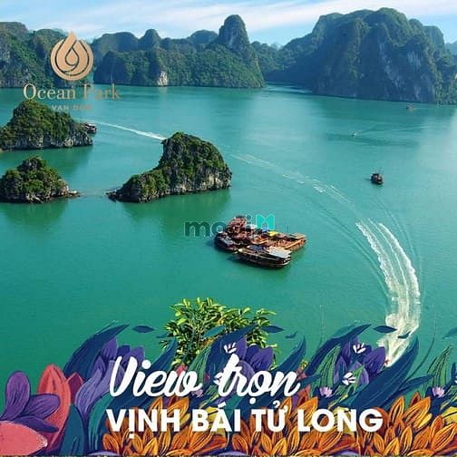 Hình ảnh Bán Đất nền khu đô thị Ocean Park Vân Đồn giá từ 22tr/m2 Quảng Ninh