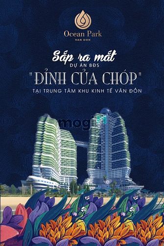 Hình ảnh Bán Đất nền khu đô thị Ocean Park Vân Đồn giá từ 22tr/m2 Quảng Ninh