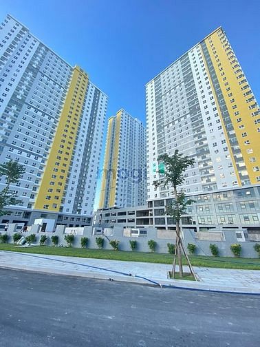 Hình ảnh Cần cho thuê chung cư Diamond Riverside,1464a Võ Văn Kiệt, P16, Quận 8