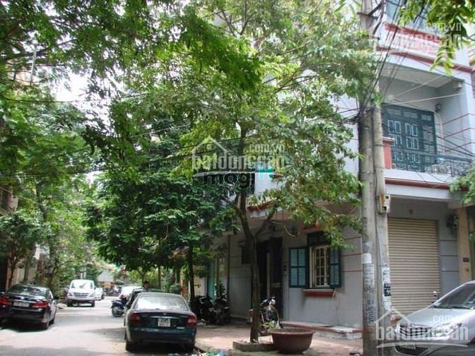 Hình ảnh Nhà mặt tiền Nguyễn Hồng Đào 13 tỷ 9 TL 5.3x15.9