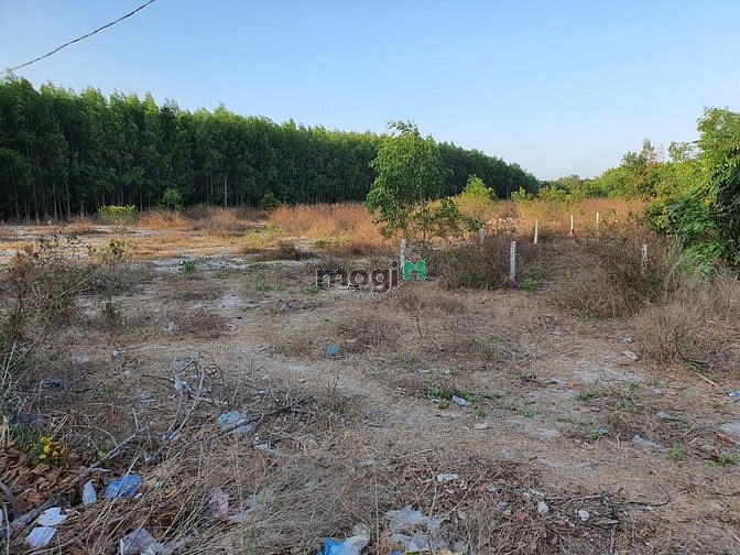 Hình ảnh Bán đất mặt tiền Lý Nam Đế, thị xã LaGi giá tốt nhất