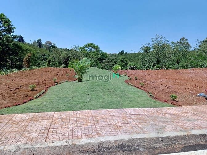 Hình ảnh ĐẦU TƯ đất Bảo Lộc gần cao tốc chỉ 650 triệu
