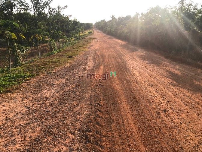 Hình ảnh Đất vườn cây ăn trái 9000 m2 giá 2 tỷ . Hàm tân. Bình thuận