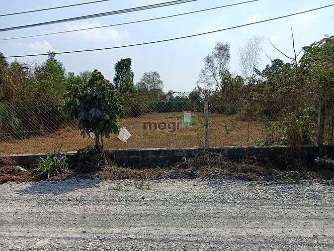 Hình ảnh Bán đất đường Bùi Thị Bùng - 1515m2 - 19x81 - 300m2 thổ cư - Củ Chi