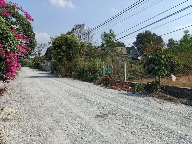 Hình ảnh Bán đất đường Bùi Thị Bùng - 1515m2 - 19x81 - 300m2 thổ cư - Củ Chi