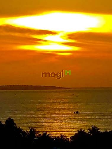 Hình ảnh cơ hội vàng bên vinh biển bình thuận