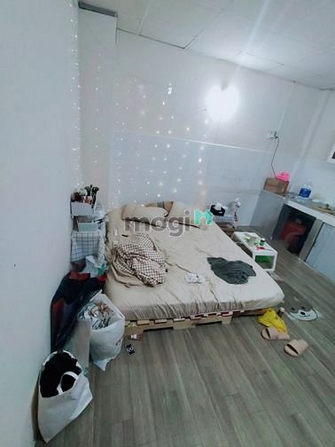 Hình ảnh cho thuê CHDV ngay CMT8 , gần bờ kè Hoàng Sa