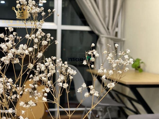 Hình ảnh Cho Thuê Phòng Đầy Đủ Nội Thất 40m2