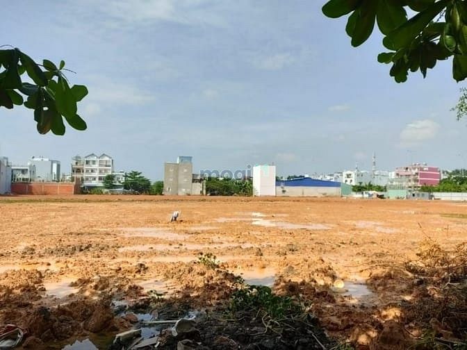 Hình ảnh Mua Stella Bình Tân, chốn đi về bình yên giữa lòng đô thị